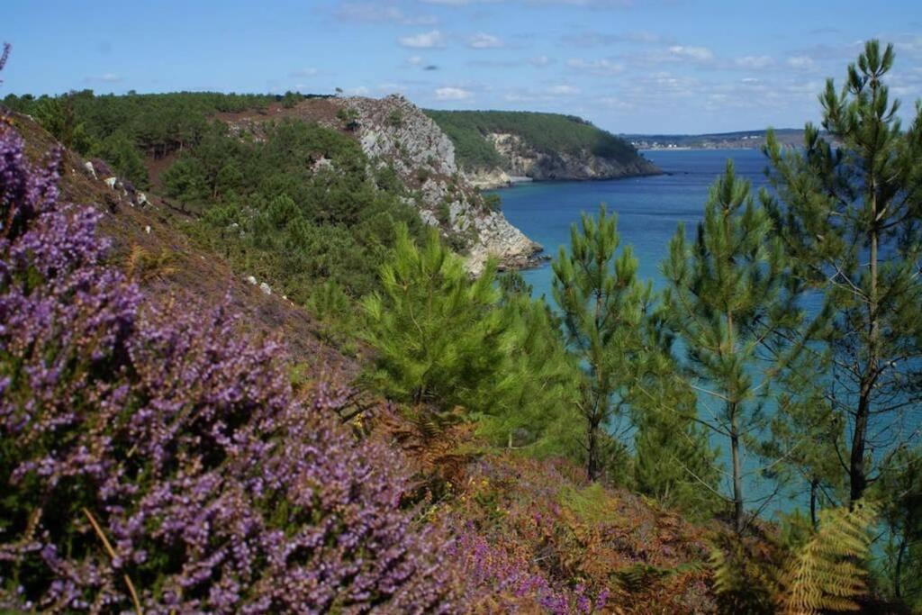 Unique Et Insolite, Chambre Privee - La Caloge De Kastell Dinn Crozon Buitenkant foto
